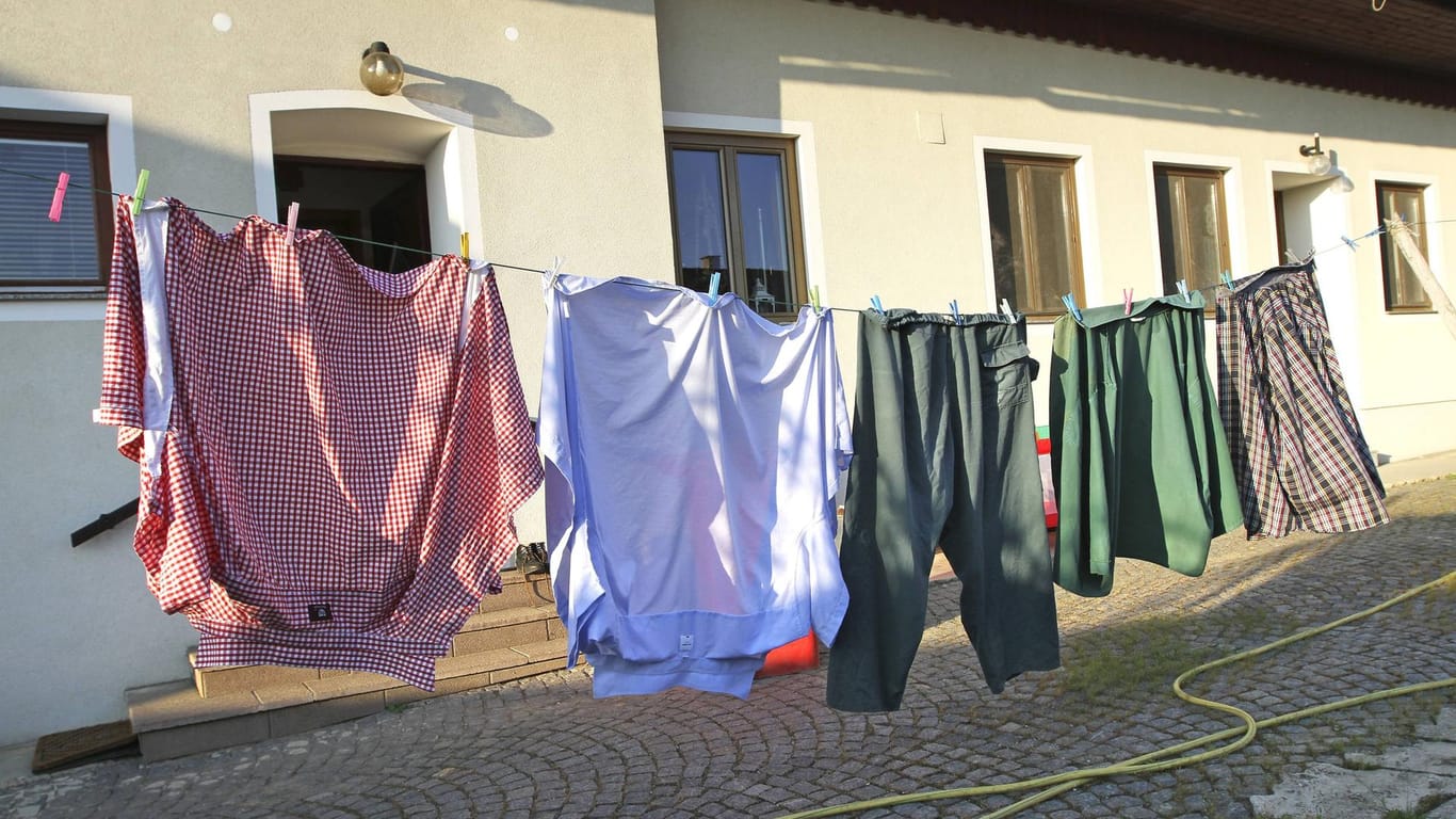 Eine volle Wäscheleine: Kleidung knittert weniger, wenn sie sofort nach dem Waschvorgang aufgehangen oder getrocknet wird.