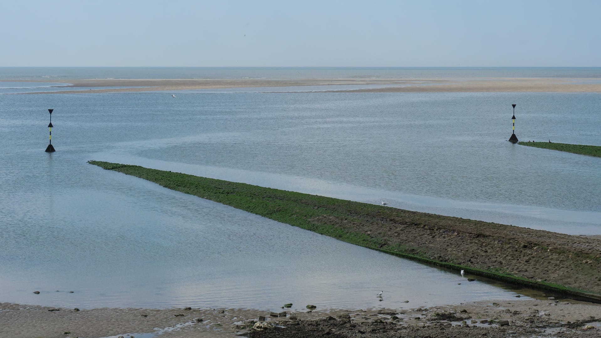 Wattenmeer auf der Insel Baltrum: Bei Ebbe können Urlauber hier geführte Wanderungen unternehmen.