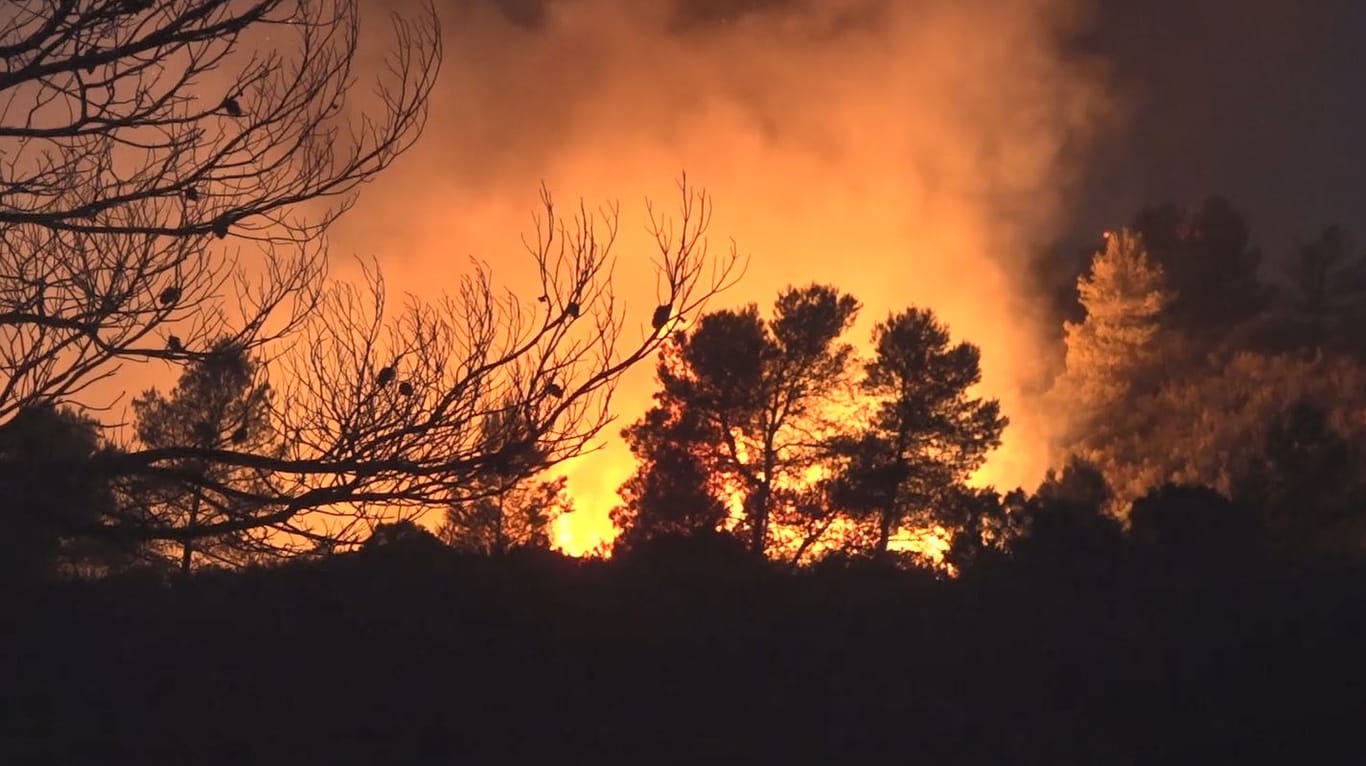 Waldbrand bei Ribera d'Ebre: Im Nordosten Spaniens ist eine Fläche von 20.000 Hektar bedroht.