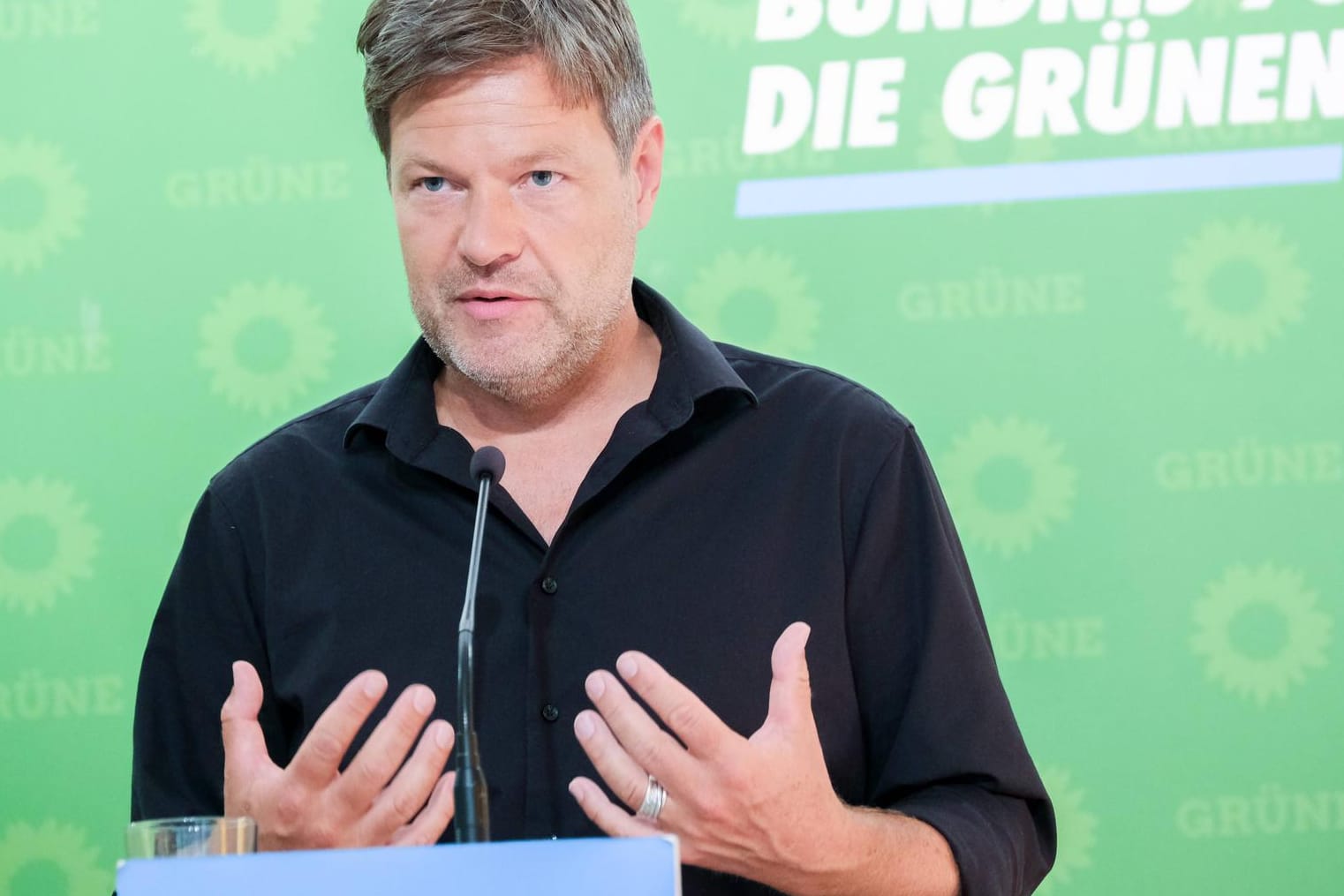 Robert Habeck: Die Grünen stehen wie kaum eine andere Partei für den Klimaschutz. In Berlin stellten sie ein umfassendes Konzept vor, das unter anderem ein "Energiegeld" von 100 Euro vorsieht.