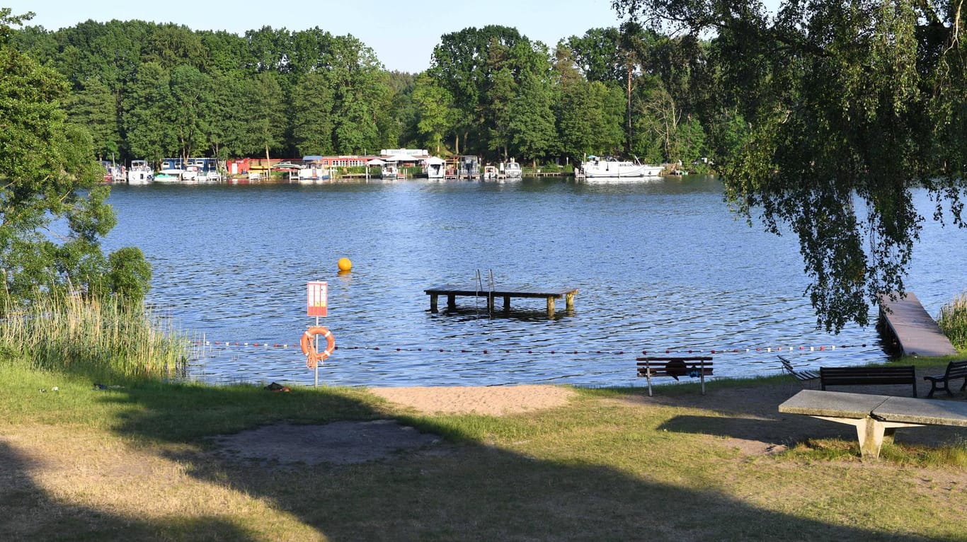 Das Ufer eines See in der Nähe von Rheinsberg: Bekannte retteten den Mann aus dem Wasser, doch kurze Zeit später verstarb er. (Symbolbild)