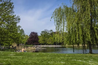 See in Karlsruhe: Ein nackter Schwimmer hat bei anderen Badegästen für Aufsehen gesorgt – der Streit eskalierte.(Symbolbild)