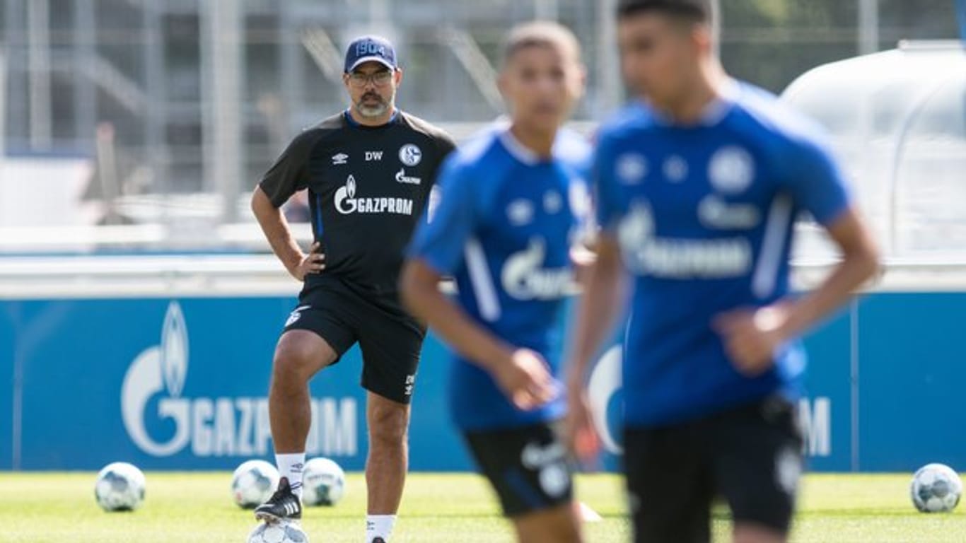 Der neue Schalke-Trainer David Wagner leitete sein erstes Training in Gelsenkirchen.