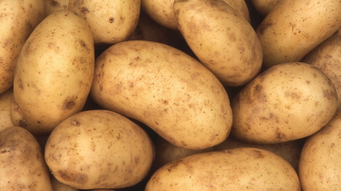 Kartoffeln: Kartoffeln, auch als Erdäpfel bekannt, enthalten viele Kohlenhydrate, Ballaststoffe, pflanzliches Eiweiß und Aminosäuren, aber so gut wie kein Fett.