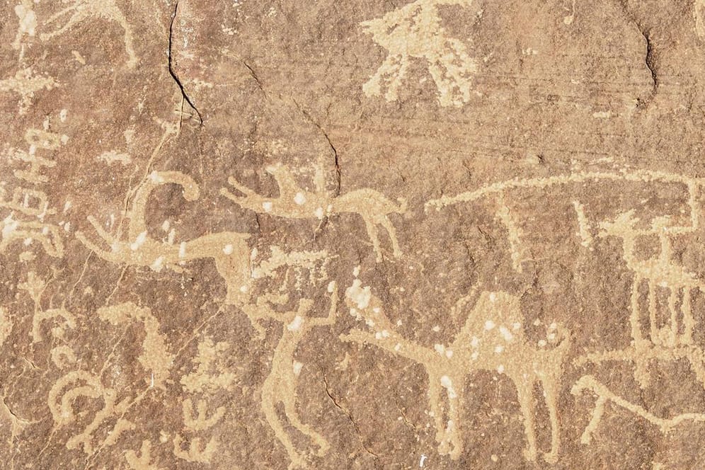 Höhlenmalereien: Der Schädel ist 33.000 Jahre alt.
