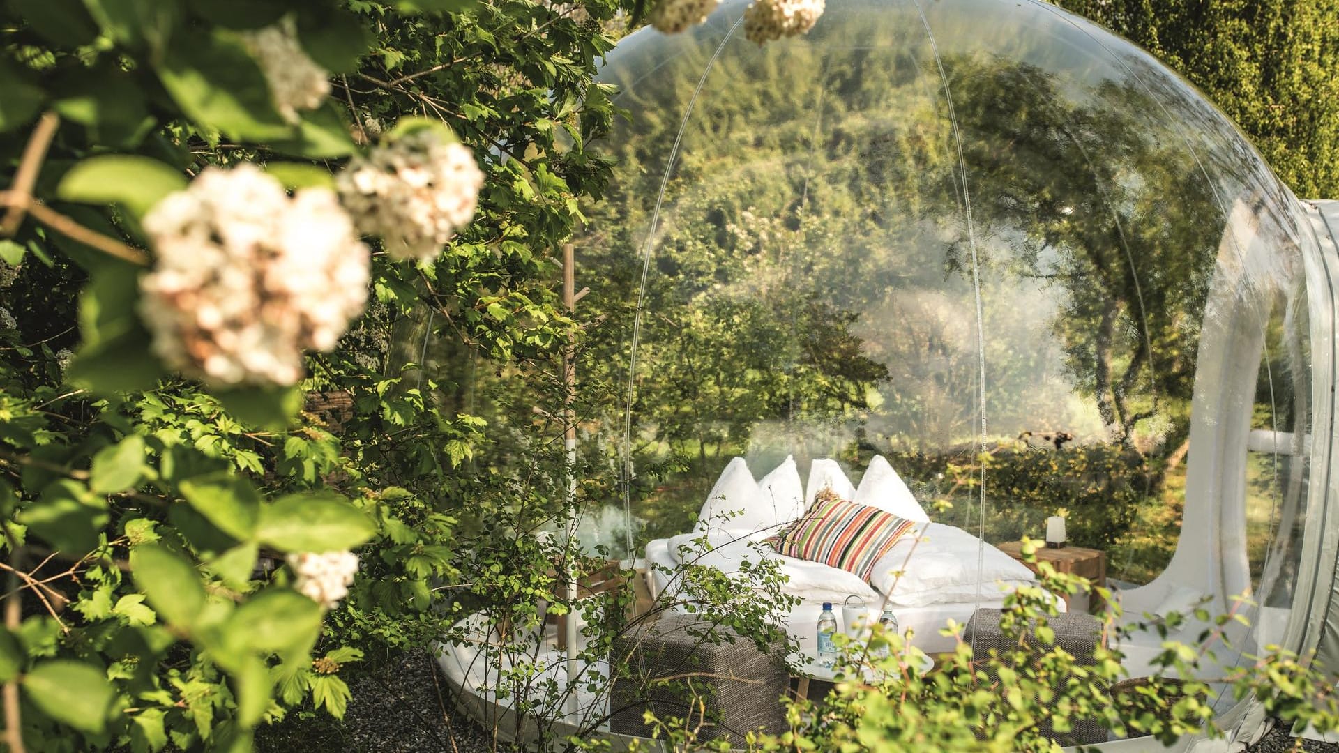 Bubble-Hotel: In den durchsichten Plastikblasen hat ein Bett und ein Stuhl Platz.