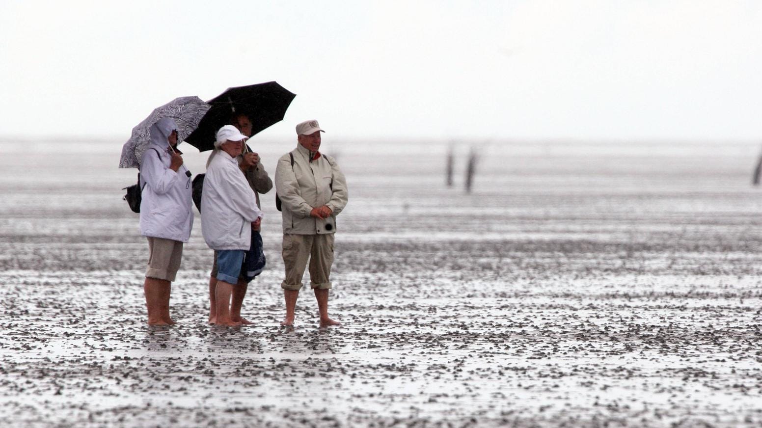 Wattwanderung bei Regen: An der Nord- und Ostsee kann es zu Schauern kommen. Wattwanderung bei Regen: An der Nord- und Ostsee kann es zu Schauern kommen.