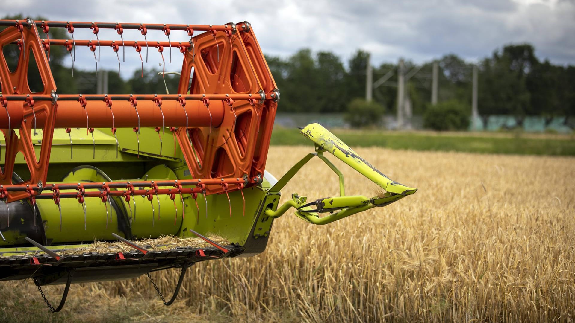 Ein Mähdrescher auf dem Feld: Ein Rollstuhlfahrer wurde von dem Fahrzeug erwischt und schwer verletzt. (Symbolbild)