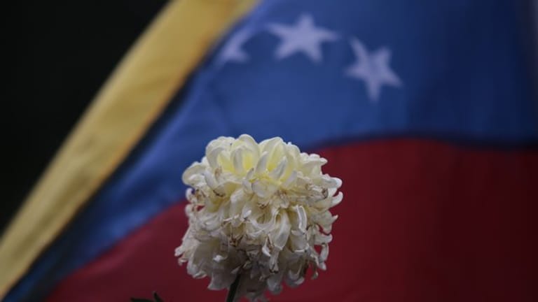 Eine verwelkte Blume vor der Flagge von Venezuela während eines Protestes gegen die Regierung.