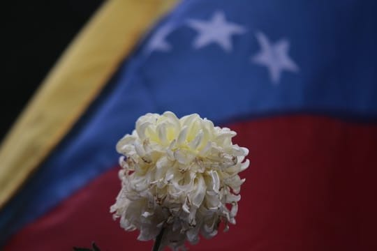 Eine verwelkte Blume vor der Flagge von Venezuela während eines Protestes gegen die Regierung.