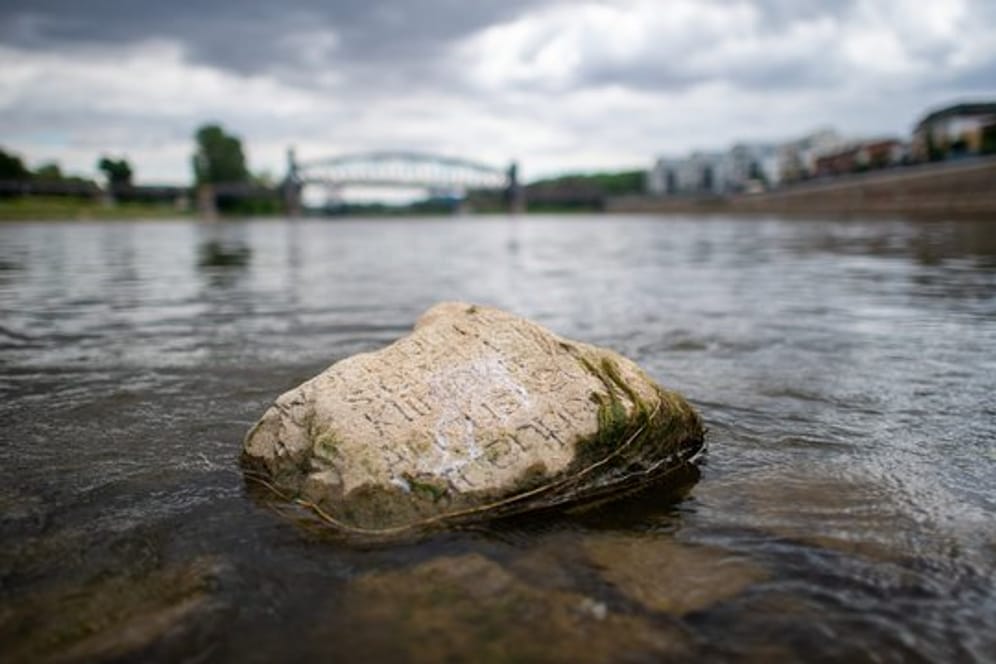 Ein Stein mit der Aufschrift "Wenn du mich siehst, ist Klimakrise": Die Elbe führt schon vor Beginn des Hochsommers so wenig Wasser, dass Sandbänke und Felsen freiliegen.