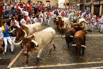 Stiertreiben durch Pamplona: Die Laufstrecke beträgt 875 Meter.