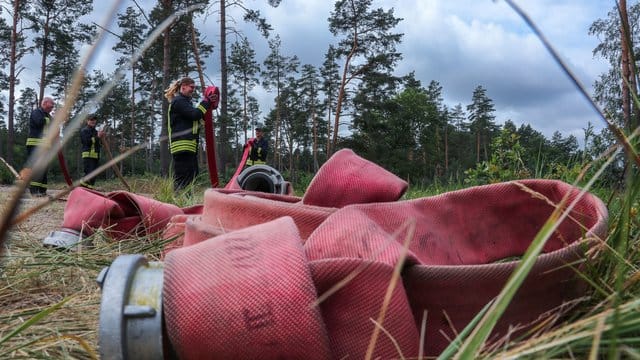 Löschschläuche nach dem Waldbrand bei Lübtheen