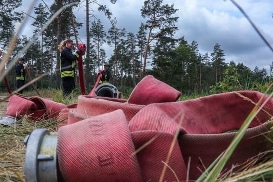 Löschschläuche nach dem Waldbrand bei Lübtheen