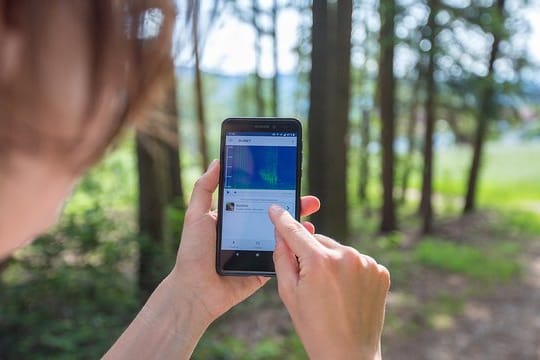 Um Vogelstimmen leichter von anderen Geräuschen unterscheiden zu können, werden die Aufnahmen in der Birdnet-App auch visualisiert.