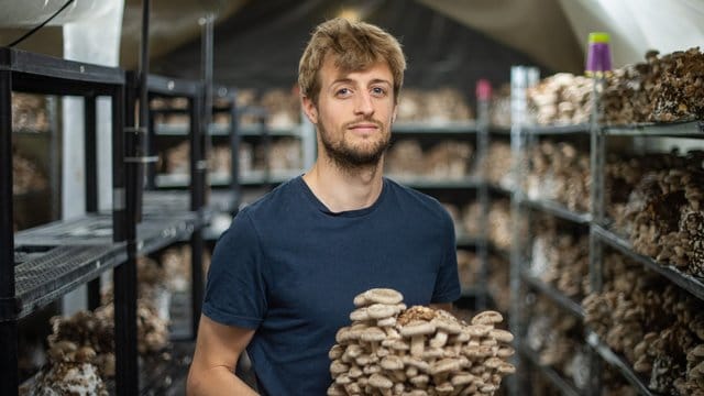 Hadrien Velge, Gründer und Geschäftsführer des Unternehmens "Le Champignon de Bruxelles", züchtet Gourmet-Pilze in einem alten Schlachthaus in Brüssel.