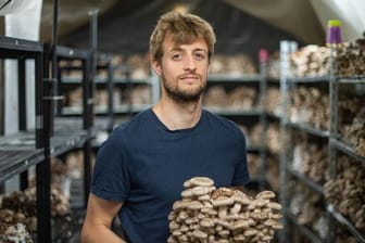 Hadrien Velge, Gründer und Geschäftsführer des Unternehmens "Le Champignon de Bruxelles", züchtet Gourmet-Pilze in einem alten Schlachthaus in Brüssel.