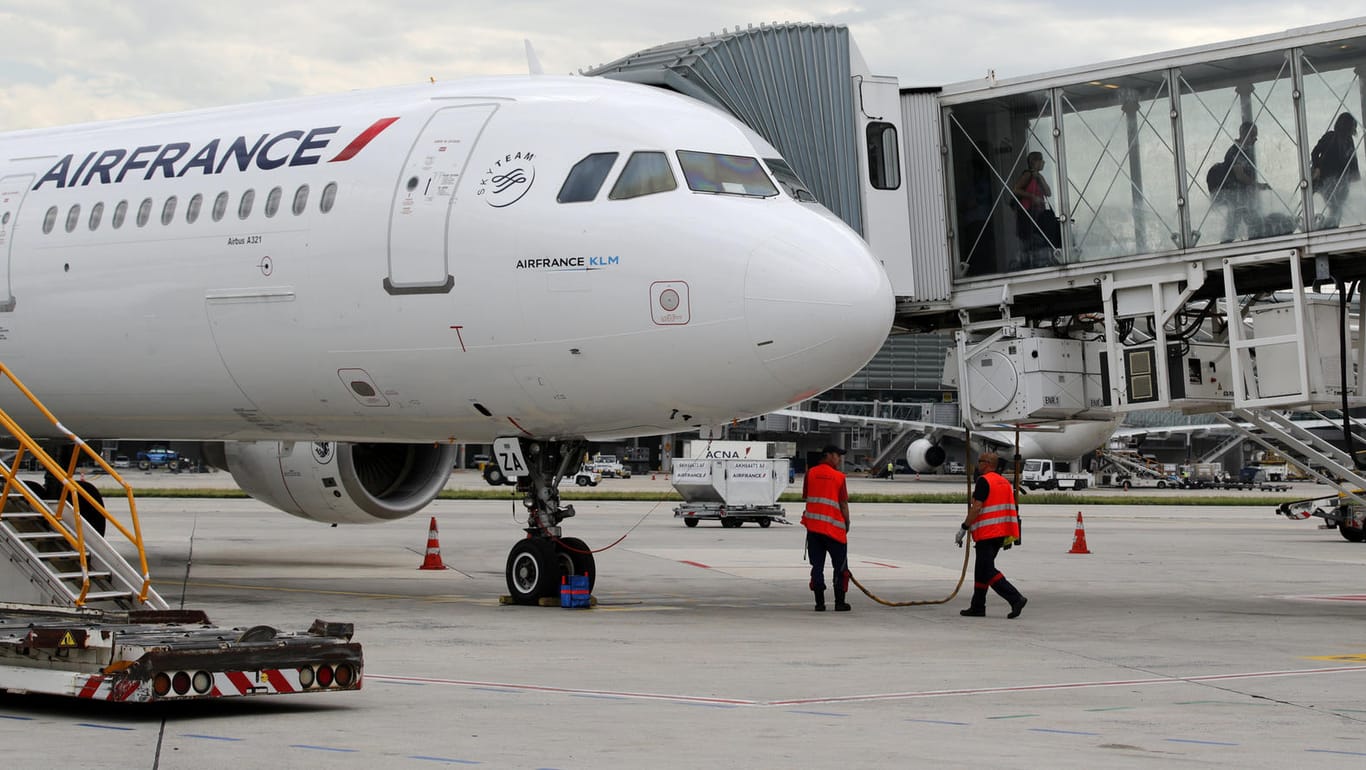 Eine Air-France-Maschine am Pariser Flughafen Charles de Gaulles: Die Ökosteuer soll auf fast alle in Frankreich startenden Flüge erhoben werden.