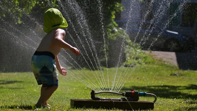 Rasensprenger verbrauchten bis zu 800 Liter Wasser in der Stunde.