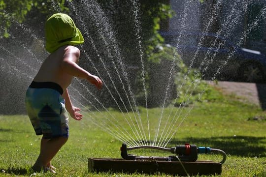 Rasensprenger verbrauchten bis zu 800 Liter Wasser in der Stunde.