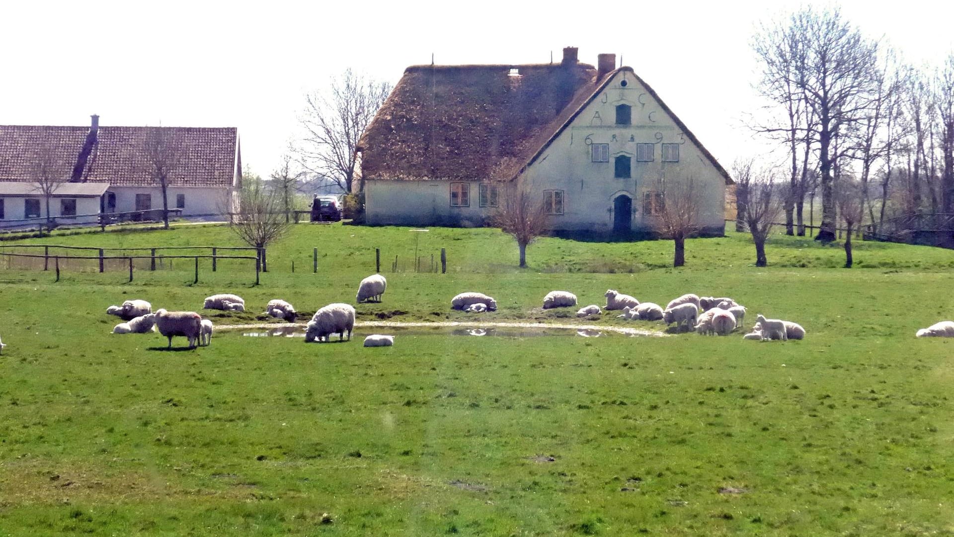 Schön, aber benachteiligt. Ländlicher Raum, hier in Schlwesig-Holstein.