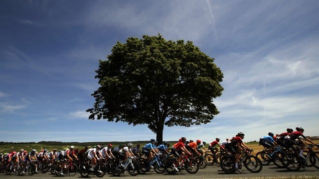 Am fünften Tag der Tour de France wird Spitzenreiter Julian Alaphilippe wieder zu den Favoriten gehören.