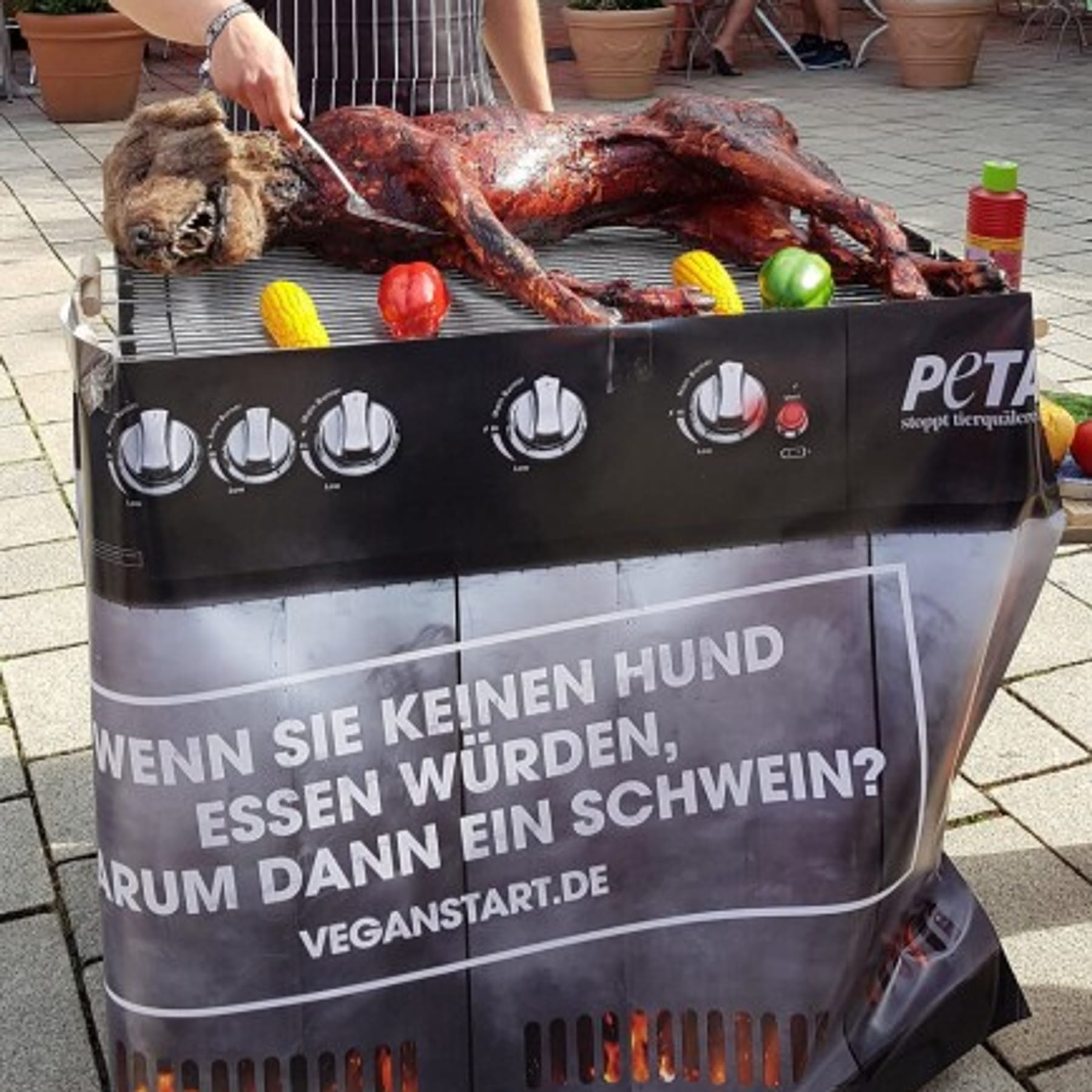 Skriv email Latter bold Stuttgart: Tierschutzorganisation Peta plant nächste Schock-Aktion