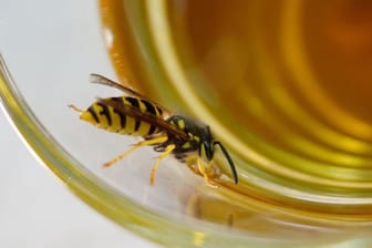 Im Sommer kann ruckzuck eine Wespe im Glas landen.