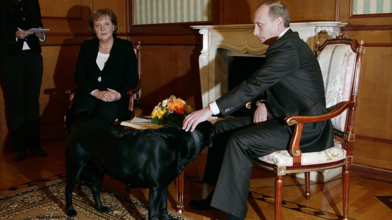 Angela Merkel im Jahr 2007 zu Besuch bei Wladimir Putin und Hund Kony: "Und man sieht ja, wie ich mich tapfer bemühe, Richtung Putin zu gucken und nicht Richtung Hund", sagte sie später über das Treffen.