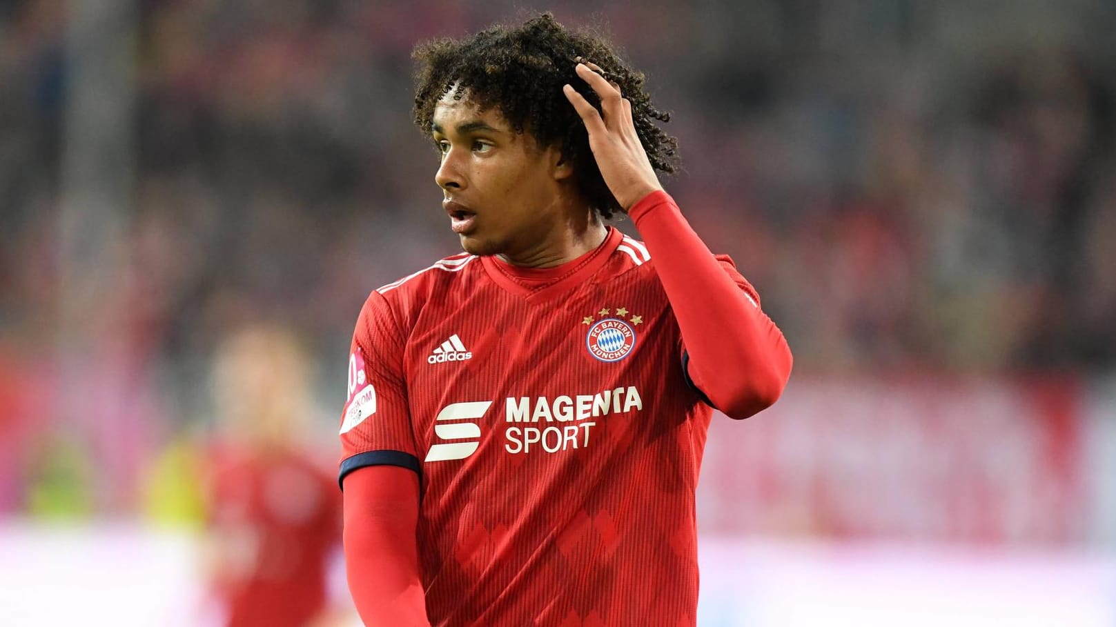 Joshua Zirkzee: Der Niederländer beeindruckt mit grandiosen Statistiken im Bayern-Nachwuchs.