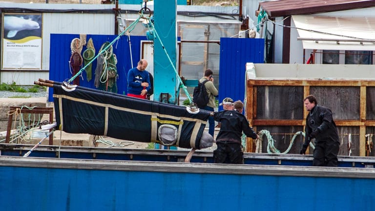 Arbeiter bewegen einen Wal mit einem Kran in der Srednyaya Bay (Archivbild): Die ersten der knapp 100 gefangen gehaltenen Wale wurden Ende Juni freigelassen.