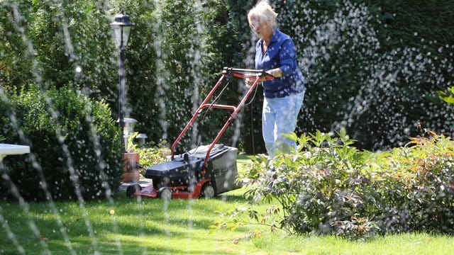 Frau bei der Rasenpflege: Viereck-Rasensprenger verteilen mit einer Linie an Düsen, die hin und her schwenken, eine Wand aus Wasserstrahlen auf dem Rasen.