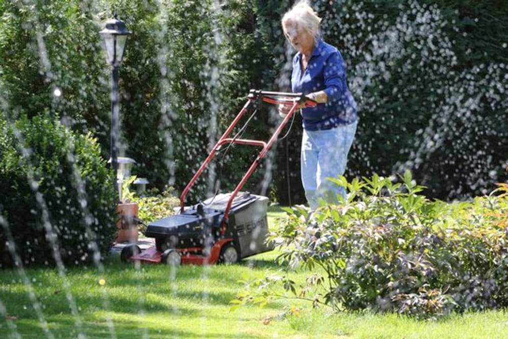 Frau bei der Rasenpflege: Viereck-Rasensprenger verteilen mit einer Linie an Düsen, die hin und her schwenken, eine Wand aus Wasserstrahlen auf dem Rasen.