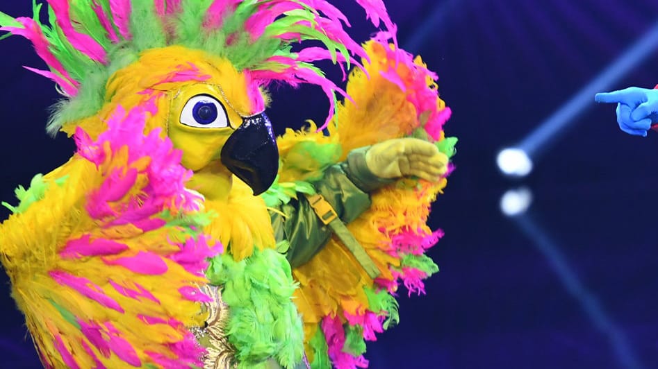 Der Kakadu: Welcher Promi steckt hinter dem gefiederten Tier bei "The Masked Singer"?