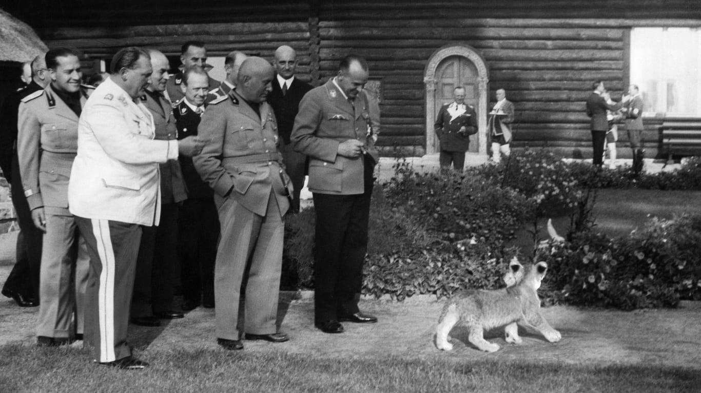 Görings Anwesen Carinhall 1937: Der Reichsmarschall führte Italiens Diktator Benito Mussolini einen jungen Löwen vor.