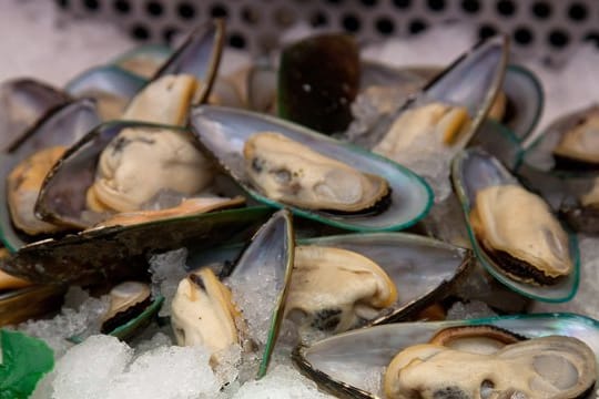 Miesmuscheln: Mittlerweile sind sie auch im Sommer zu genießen.