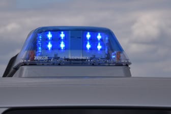 Blaulicht an einem Polizeiwagen: Das französische Kultusministerium gab den entscheidenden Hinweis an das Bundeskriminalamt weiter. (Symbolbild)