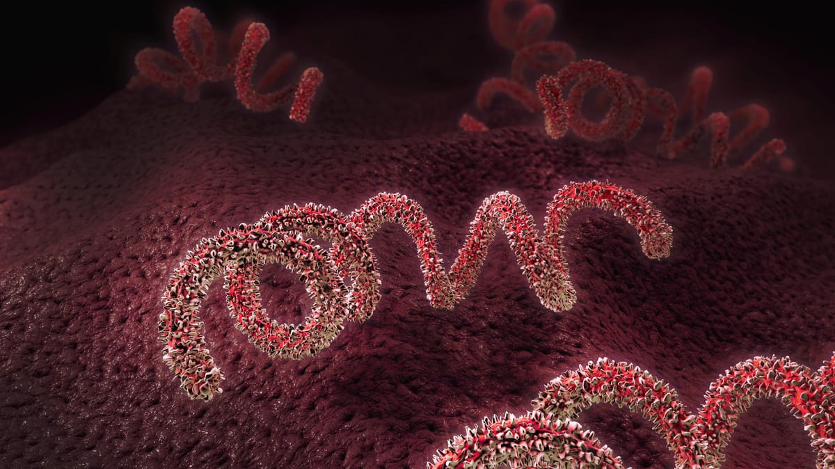 V Nemčiji zabeležen rekordni porast okužb s sifilisom v letu 2024