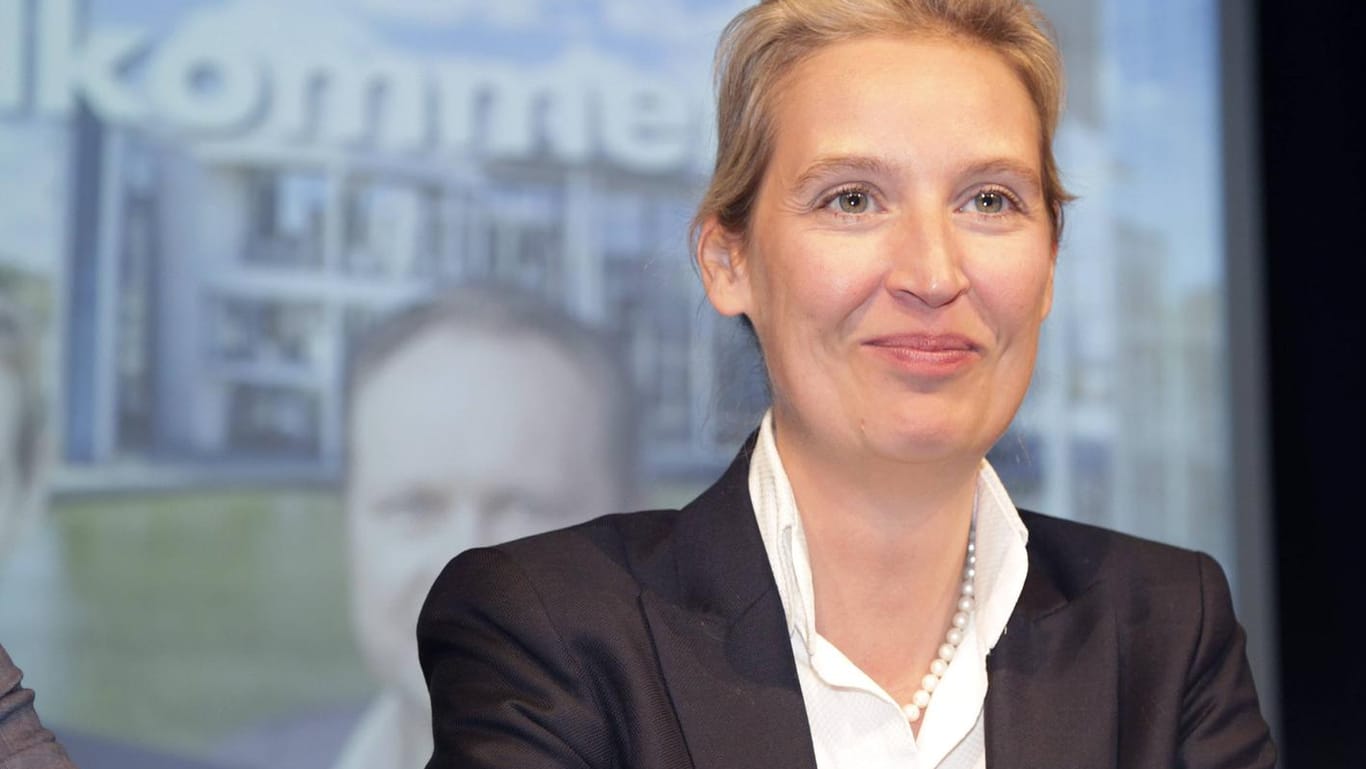 Fraktionsvorsitzende der AfD im Bundestag, Alice Weidel: Sie soll sich nun mit dem "Flügel" verständigt haben.