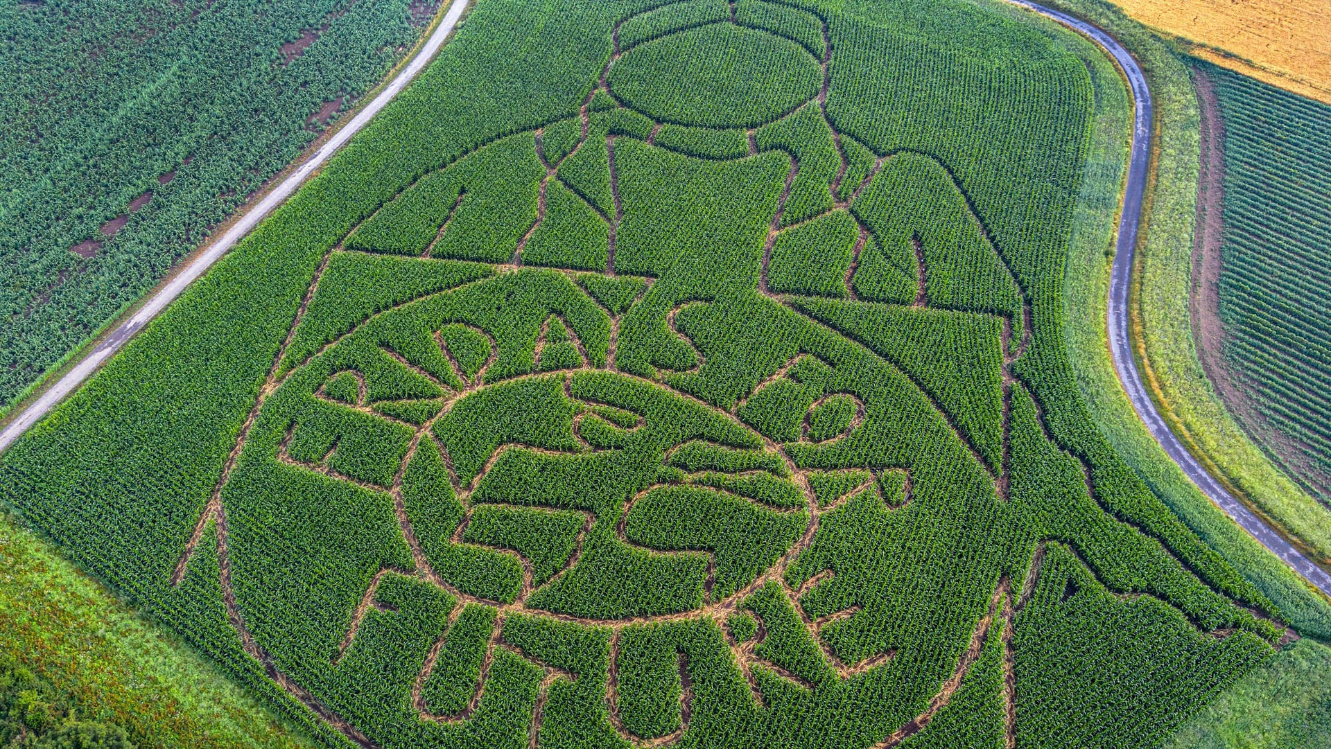 Aus der Luft nicht zu übersehen: Das riesige Fridays-for-Future-Logo von Landwirt Lünemann.