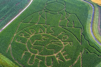 Aus der Luft nicht zu übersehen: Das riesige Fridays-for-Future-Logo von Landwirt Lünemann.