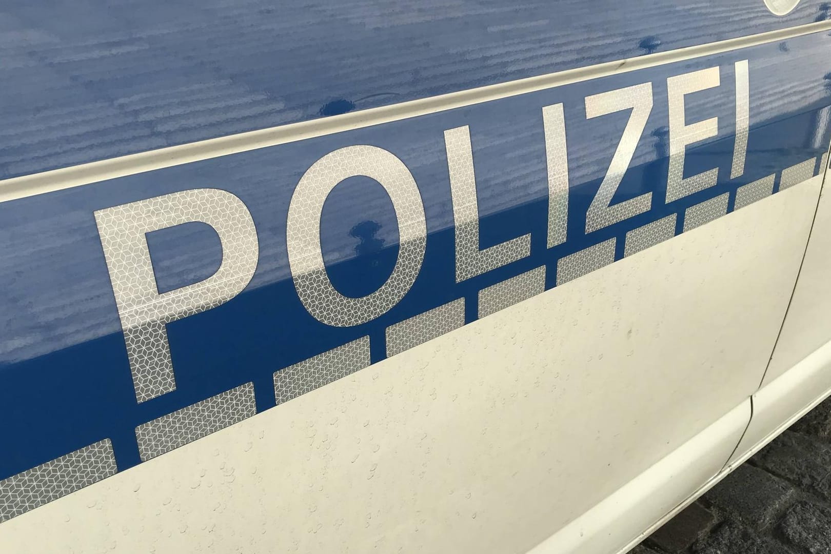 Polizeiwagen im Einsatz (Symbolbild): Bei dem Vorfall wurden vier Polizeibeamte verletzt.