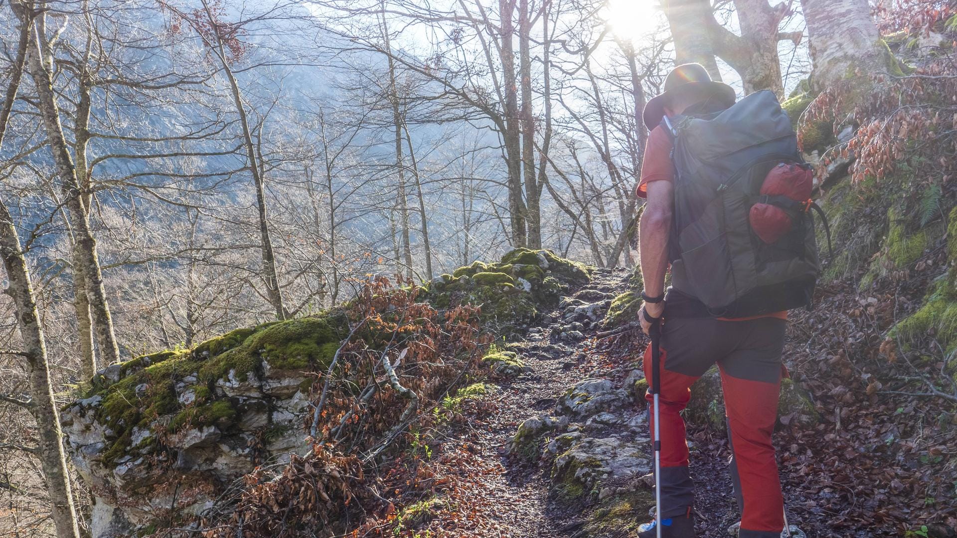 Wanderer im Wald: In Thüringen musste ein Mann von der Polizei gerettet werden, nachdem er sich verlaufen hat. (Symbolbild)