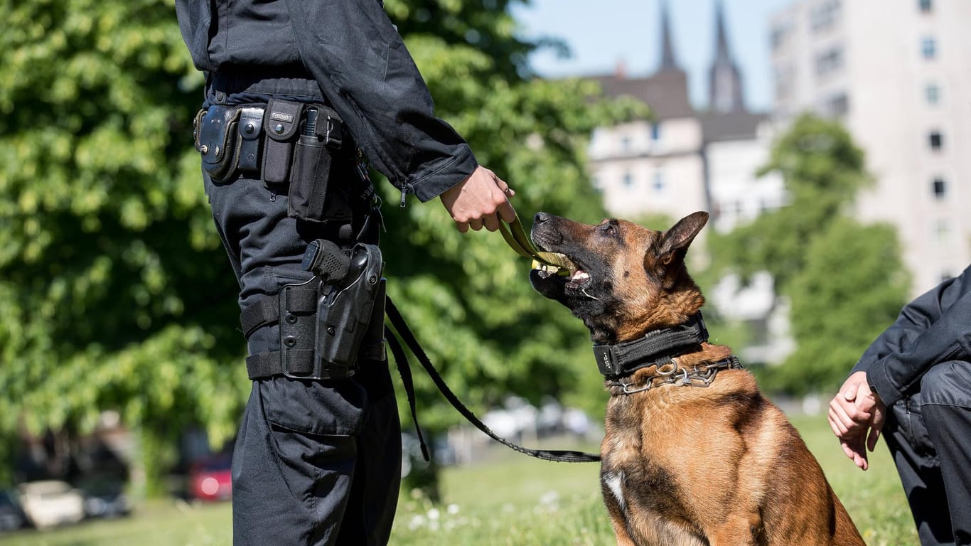 Ein Diensthund der Hundestaffel: In Köln hat ein Hund die Tatutensilien eines Überfalls gefunden. (Symbolfoto)