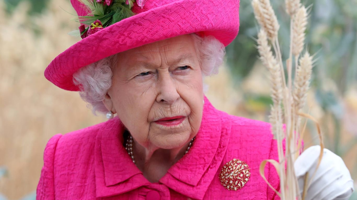 Königin Elizabeth II.: Die Queen sorgt sich um das Wohl der Schwäne.