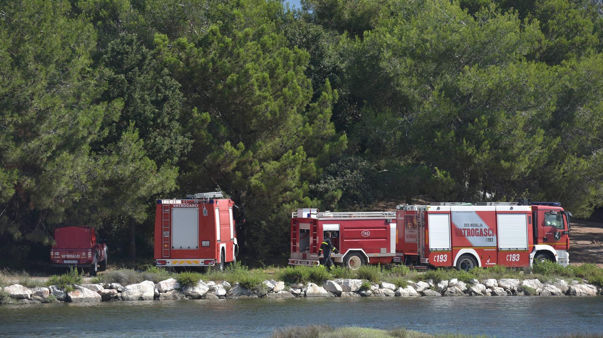 Feuerwagen stehen an einem Wald am Strand Zrce bei Novalja