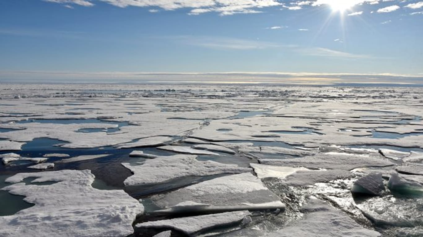 Auf dem Arktischen Ozean am Nordpol schwimmen mehrere Eisplatten (Archiv).