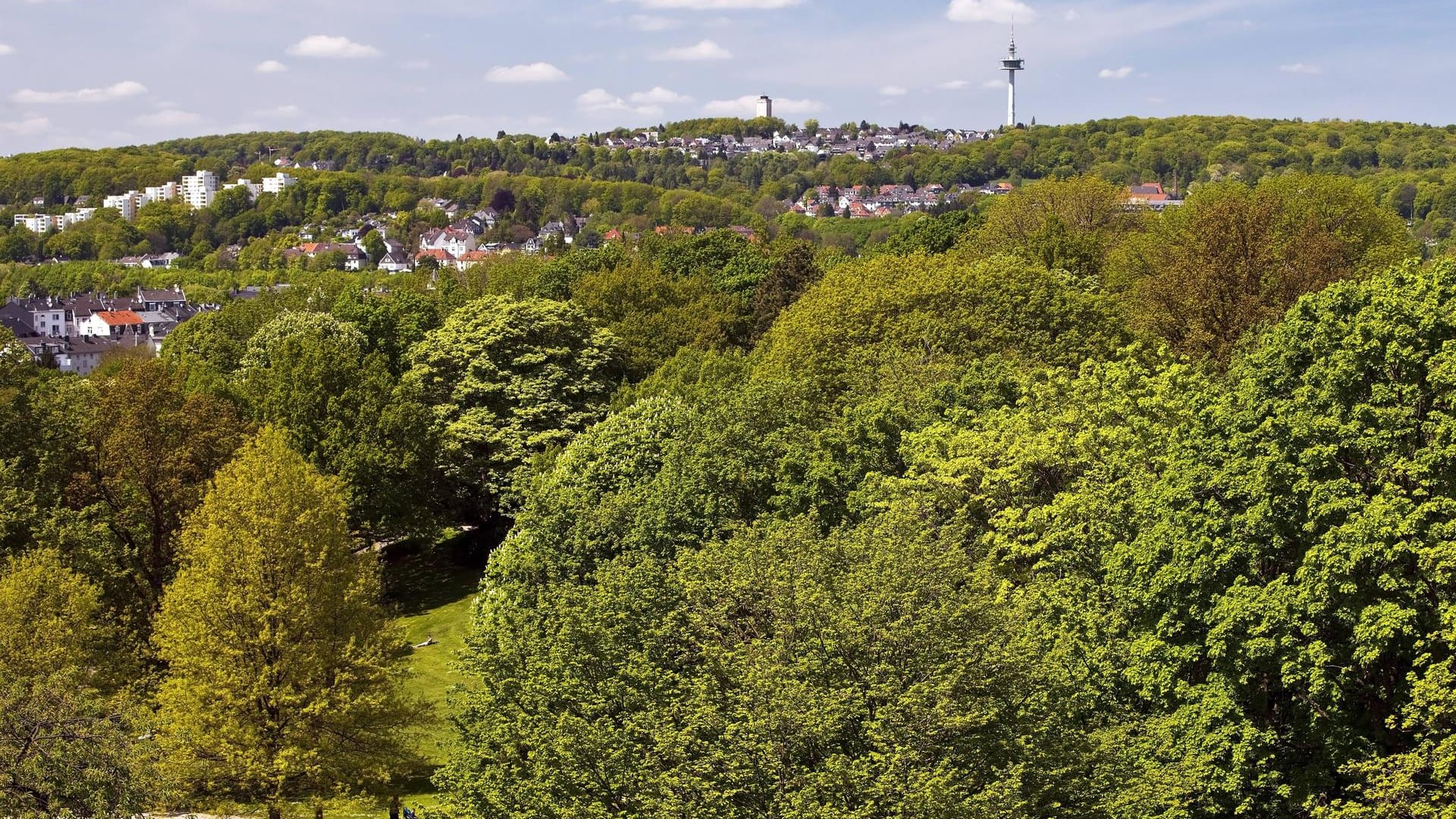 Blick vom Elisenturm auf das Parkgebiet der Hardt: Auf 57 Hektar kann hier spaziert und entspannt werden.