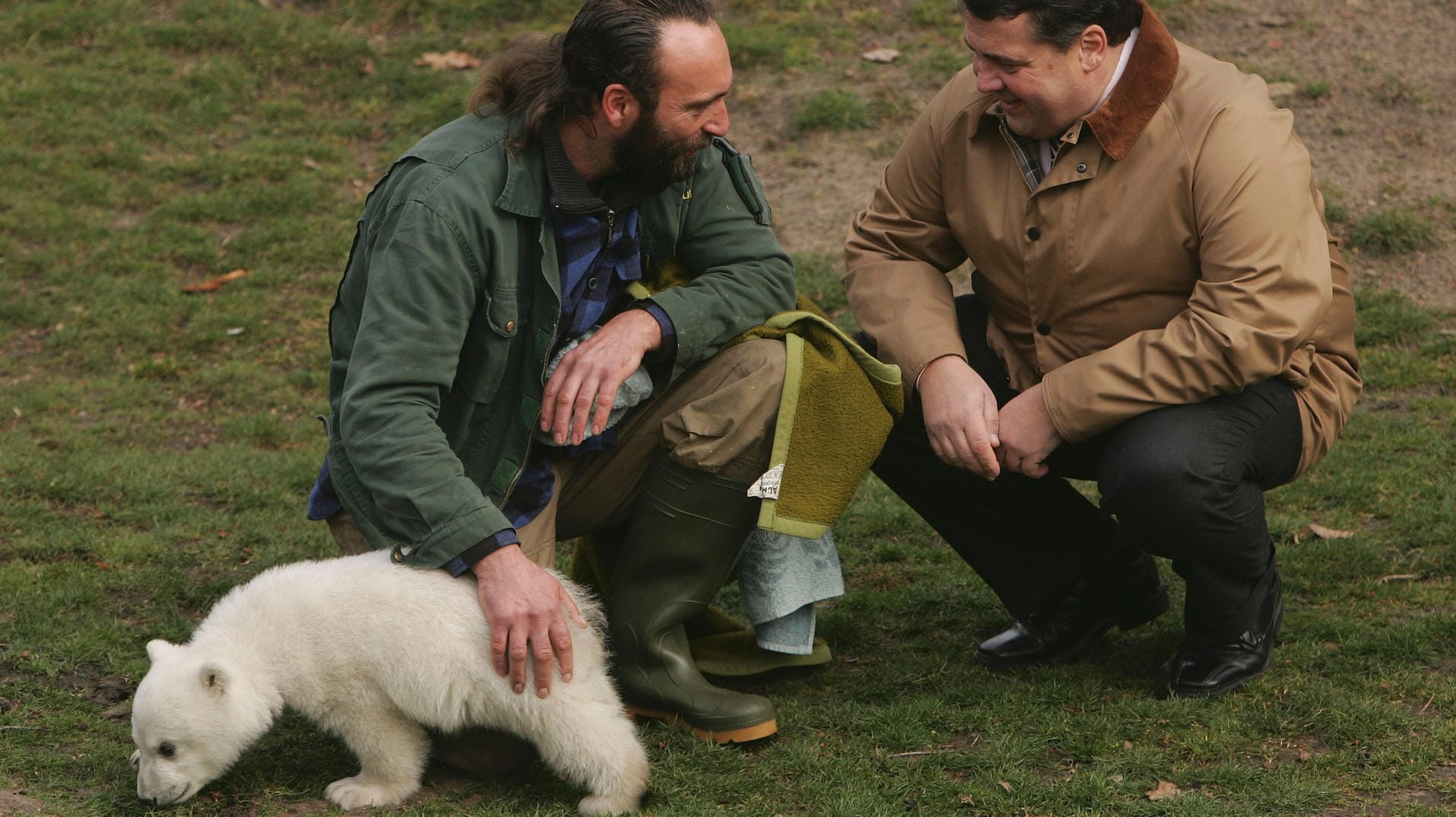 Sigmar Gabriel (r.) besucht 2007 den Eisbären Knut (l.) im Berliner Zoo: Gabriel übernahm eine Patenschaft für den Bären. Eisbären sind ein Symboltier für die Klimakrise.