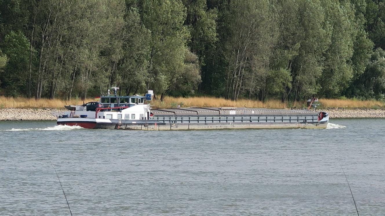 Der Rhein in Bonn: In der Nacht zum Mittwoch musste ein im Wasser treibender Mann von der Feuerwehr gerettet werden. (Symbolbild)